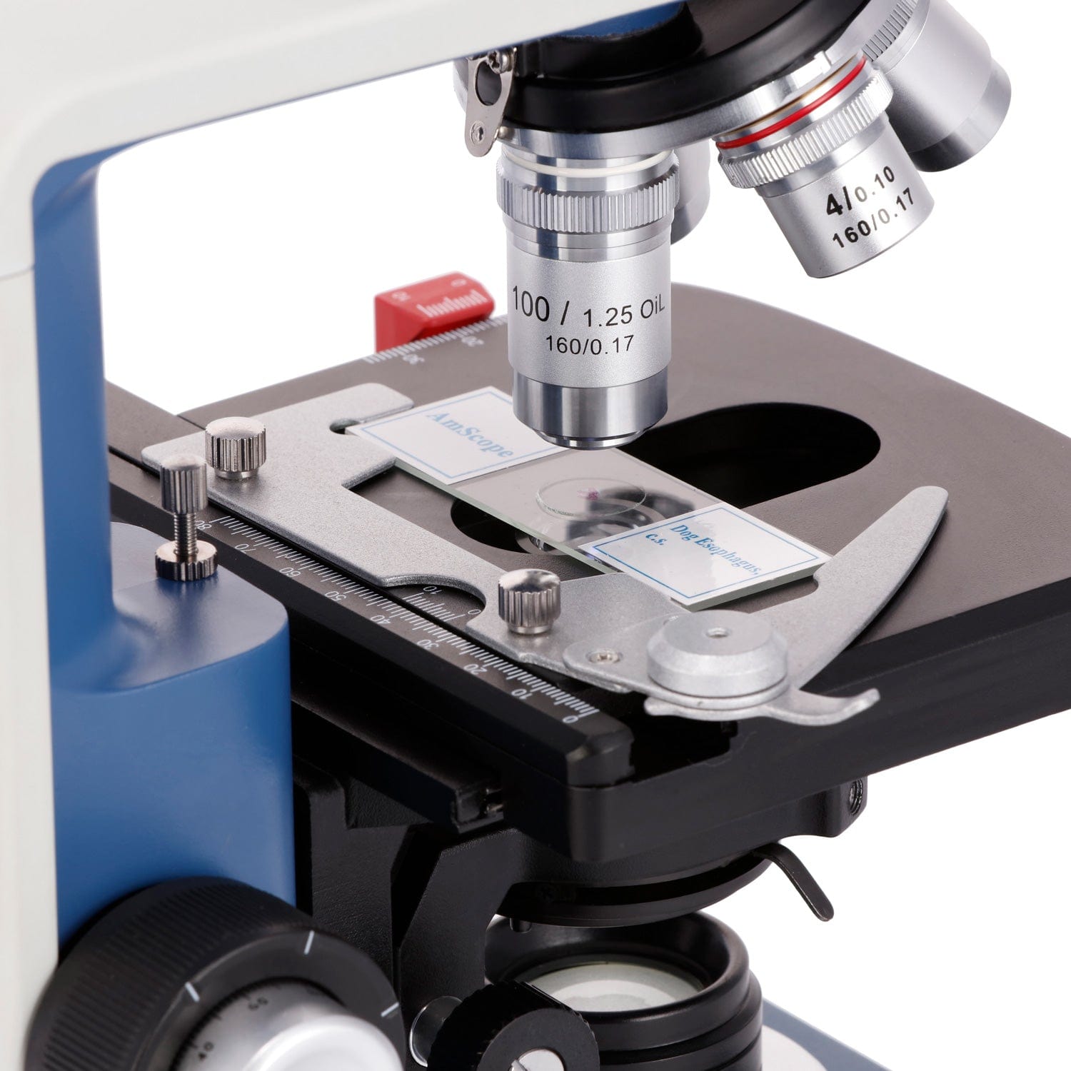 Microscope Compound 40X - AmScope 40X-2500X Büyütmeli Öğrenci Dürbünlü Bileşik