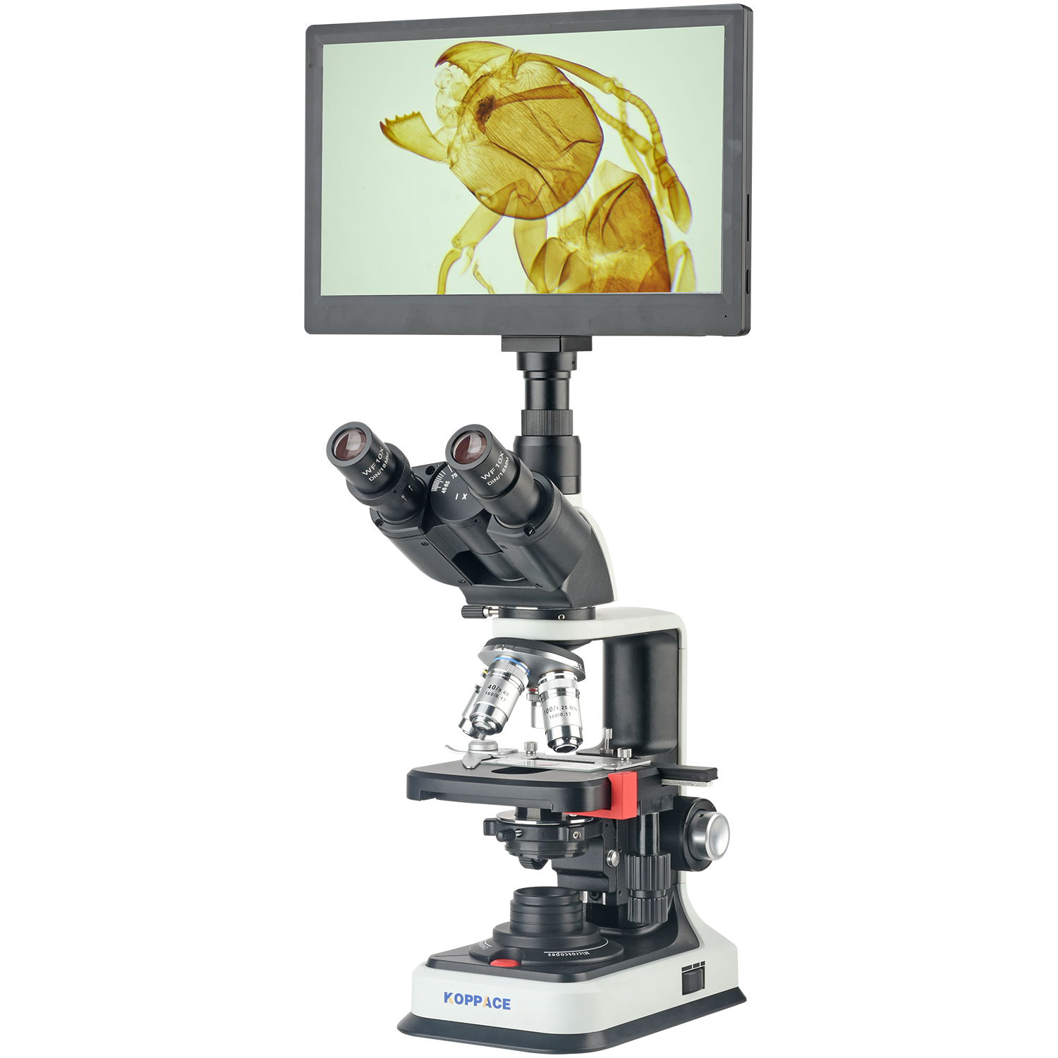 Microscope Compound 40X - KOPPACE 40X-2500X Elektron Bileşik Laboratuvar Mikroskobu