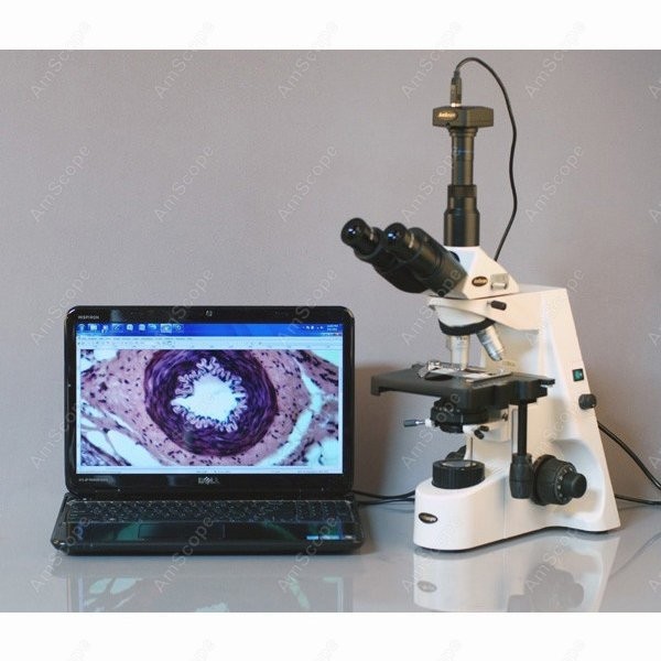 AmScope 40X-2500X Infinity Koh - Microscope Compound 40X incelemesi ve fiyatı